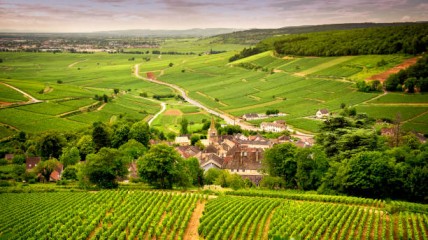 Bourgondië - in de voetsporen van dichter Bertus Aafjes